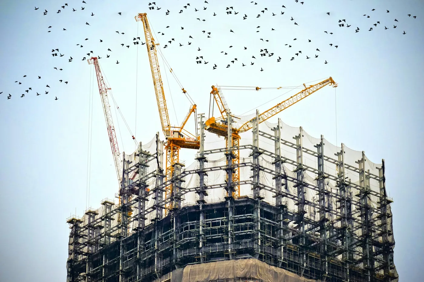 Tower cranes over a commercial building site