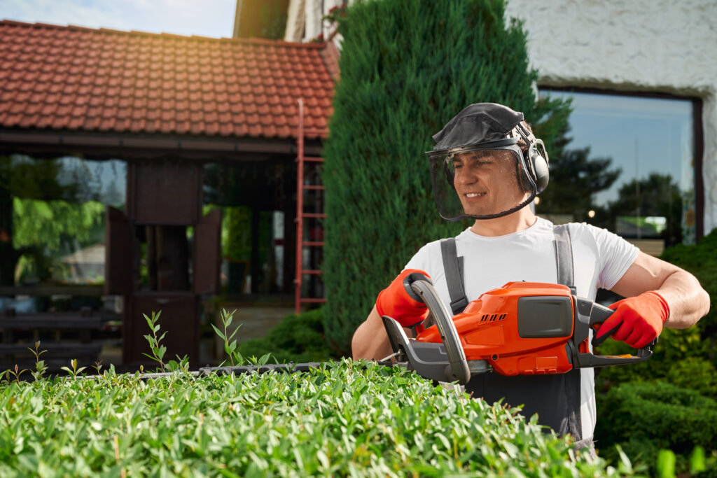 7 Common Landscaping Challenges And Their Solutions 3 7 Common Landscaping Challenges And Their Solutions